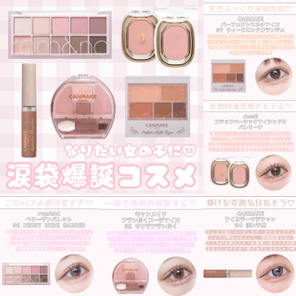 パーフェクトマルチアイズ/キャンメイク/アイシャドウパレットを使ったクチコミ(1枚目)