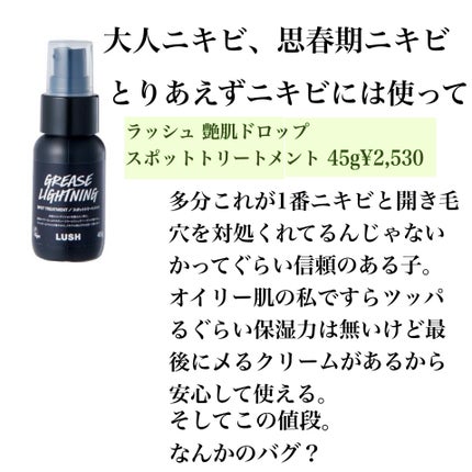 ティーツリーウォーター/ラッシュ/ミスト状化粧水を使ったクチコミ(4枚目)