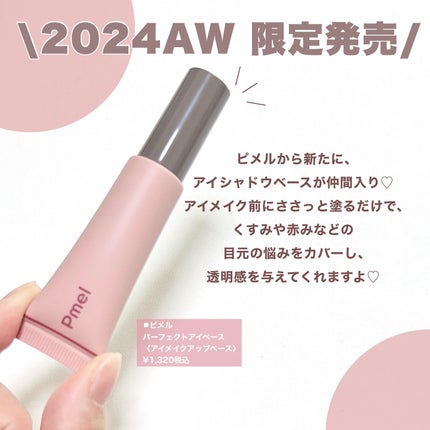 ピメル  パーフェクトアイベース/pdc/アイシャドウベースを使ったクチコミ(2枚目)