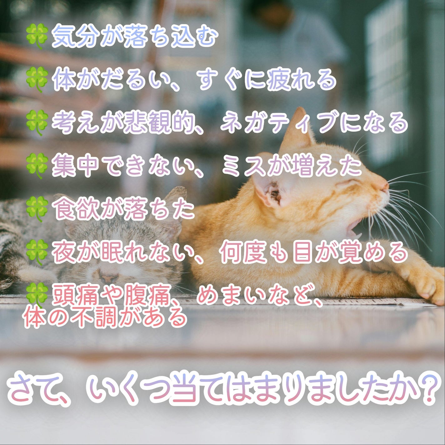 ðãŸã/ãã©ããð on LIPS ãðã¿ããªã§äºæç
ãã§ãã¯ïŒðã¡ãªã¿ã«ãŸãã¯æ¥ã«ã¹ãã¬ã¹ãæãã..ãïŒ6æç®ïŒ