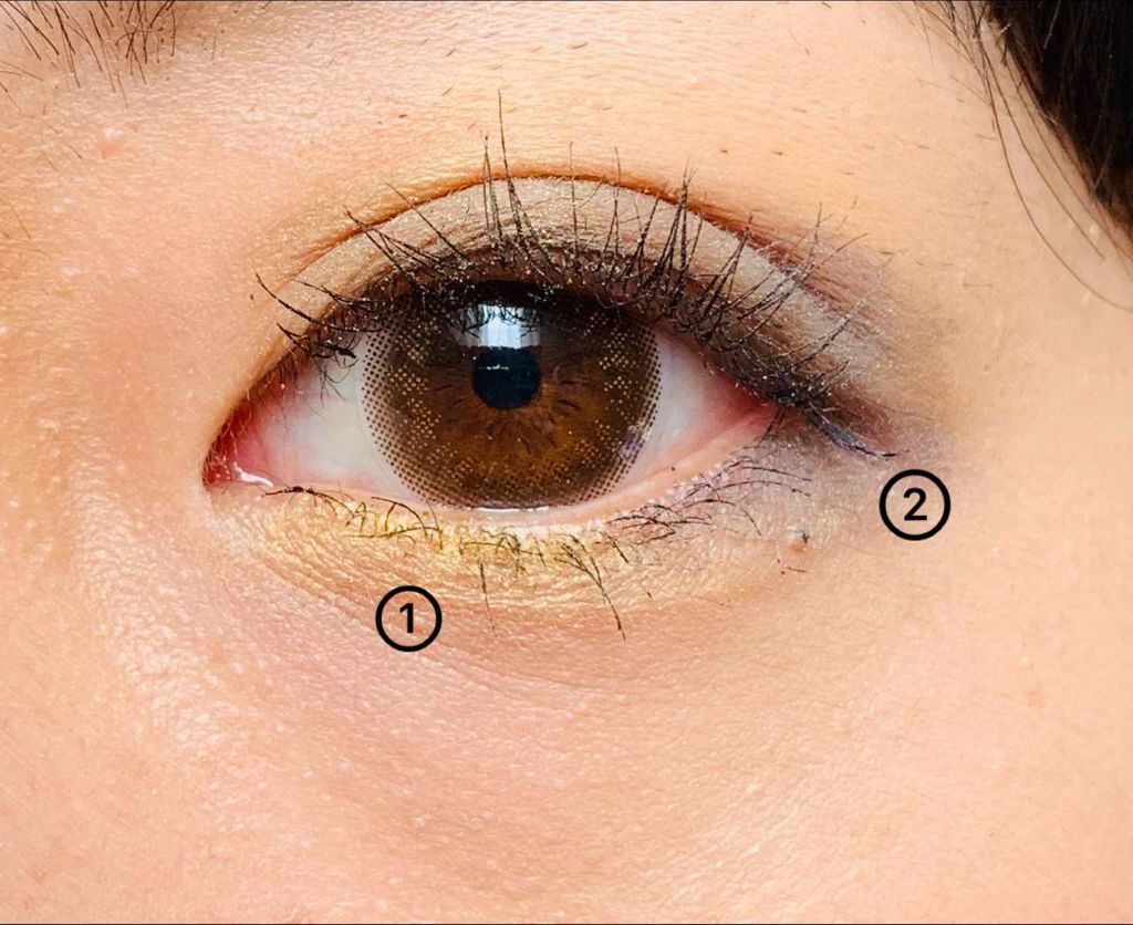 カラーリッシュ ラ パレット ヌード/ロレアル パリ/アイシャドウパレットを使ったクチコミ(3枚目)