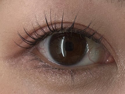 アイ カラー クォード/TOM FORD BEAUTY/アイシャドウパレットを使ったクチコミ(5枚目)