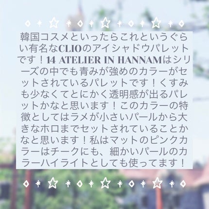プロ アイ パレット/CLIO/アイシャドウパレットを使ったクチコミ(4枚目)