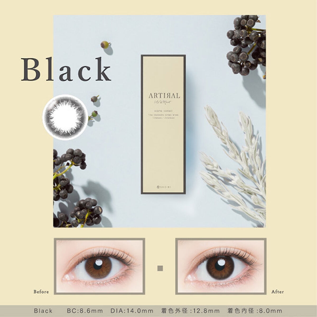 ARTIRAL UV＆Moist 2week /ARTIRAL/２週間（２WEEKS）カラコンを使ったクチコミ（1枚目）