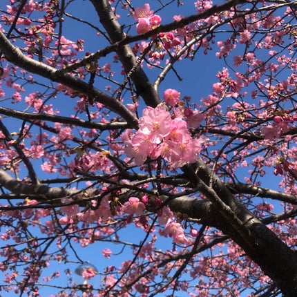 Long Lasting Liquid Lipstick/Ofra Cosmetics/口紅を使ったクチコミ(6枚目)
