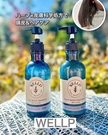 薬用スカルプケアシャンプー/トリートメント モイスト/WELLP/市販シャンプーを使ったクチコミ(1枚目)