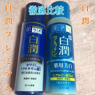 白潤プレミアム 薬用浸透美白化粧水/肌ラボ/化粧水を使ったクチコミ（1枚目）