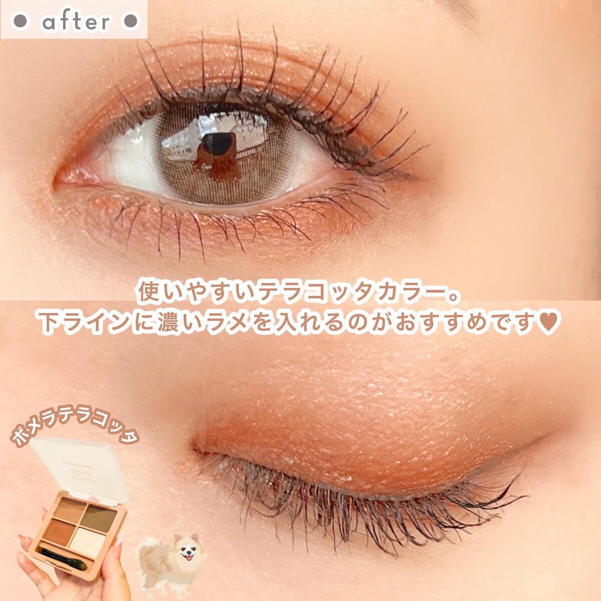 わんだふるアイカラー/KIREI FACTORY/アイシャドウパレットを使ったクチコミ(8枚目)