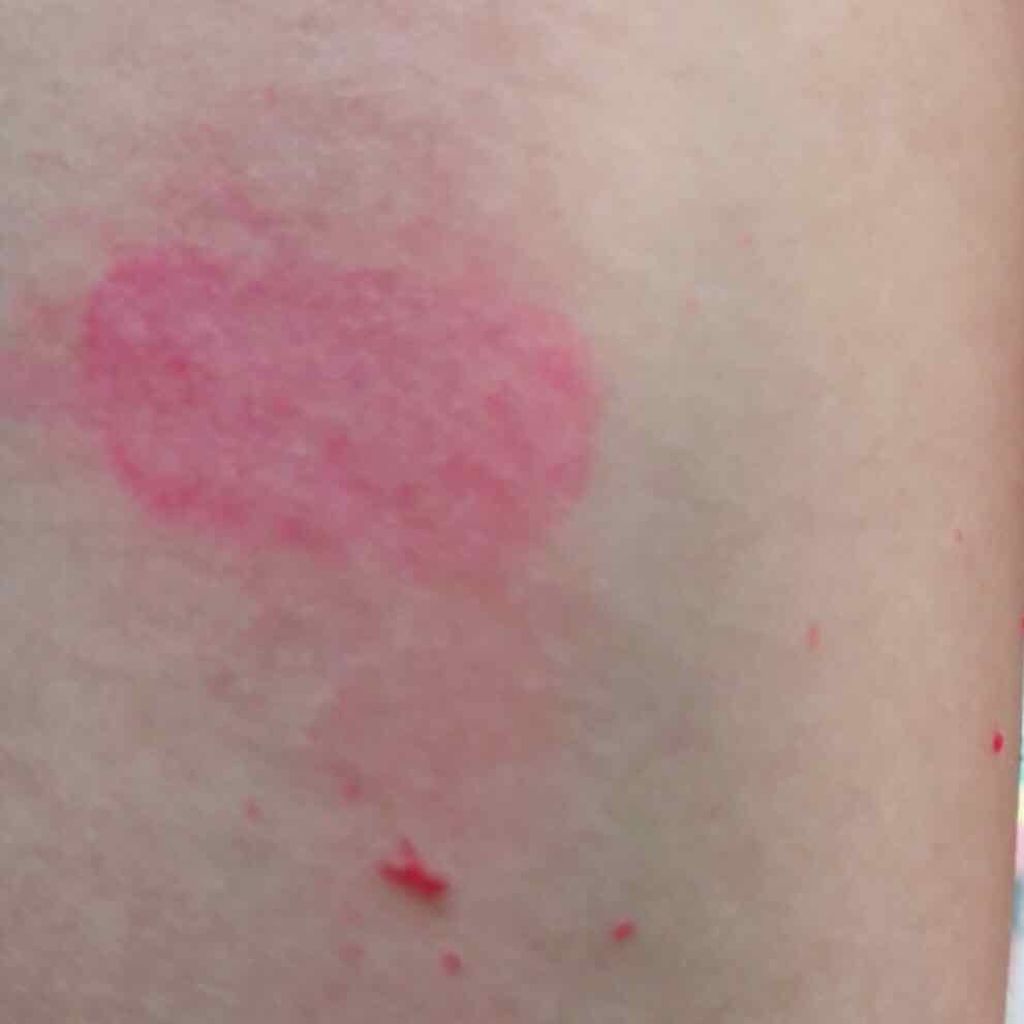 ベビーピンクプラス リップティント/ベビーピンク/リップティントを使ったクチコミ(4枚目)