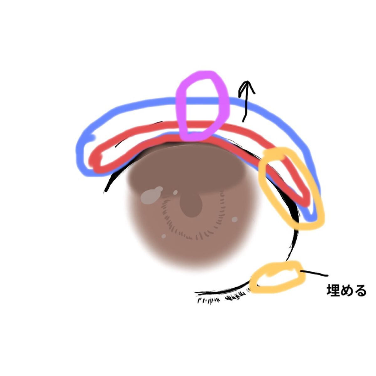 プロ アイパレット ミニ/CLIO/アイシャドウパレットを使ったクチコミ（3枚目）