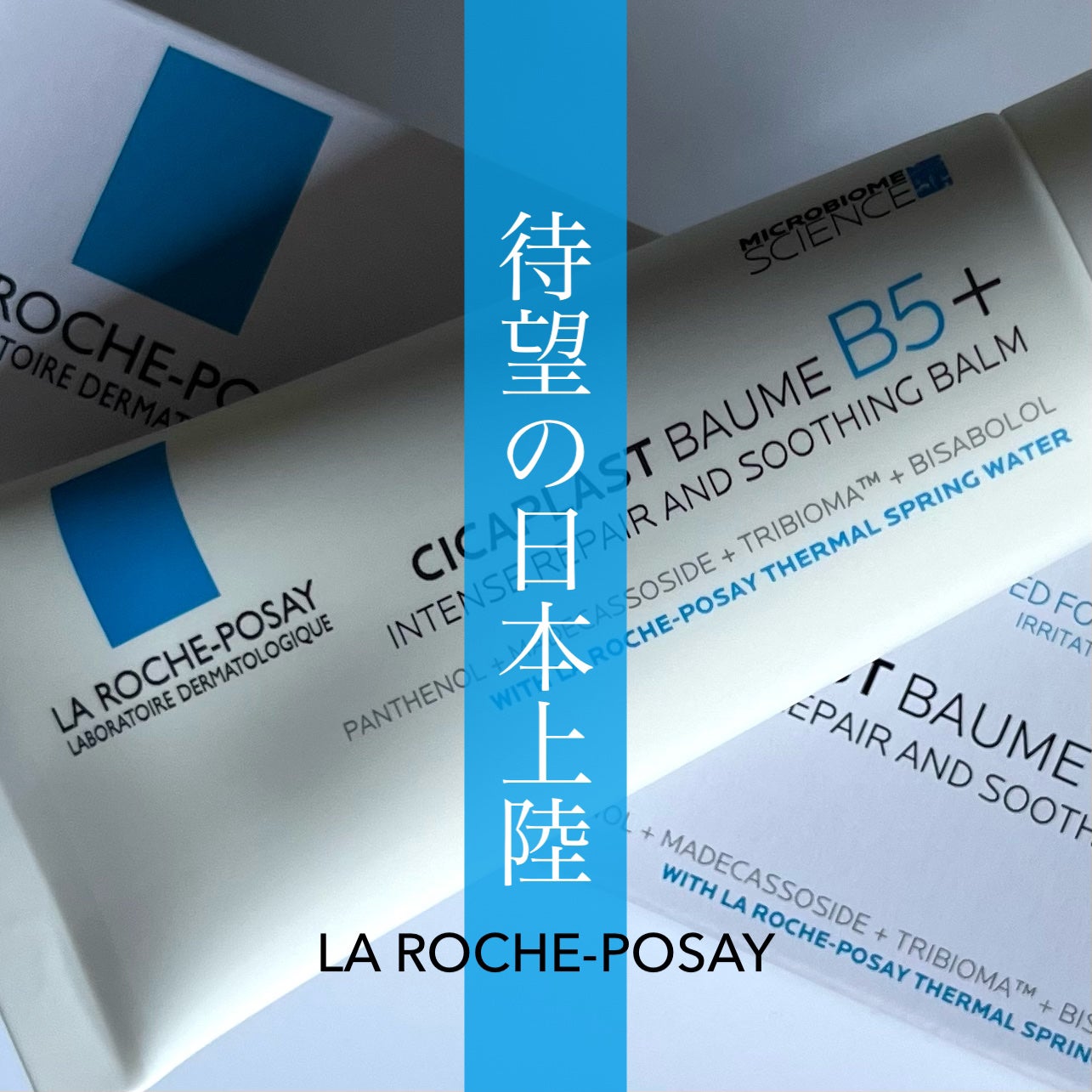 ã·ã«ãã©ã¹ã ãªãã¢ã¯ãªãŒã  B5+	/ã© ããã·ã¥ ããŒ/ãã§ã€ã¹ã¯ãªãŒã ã䜿ã£ãã¯ãã³ãïŒ1æç®ïŒ