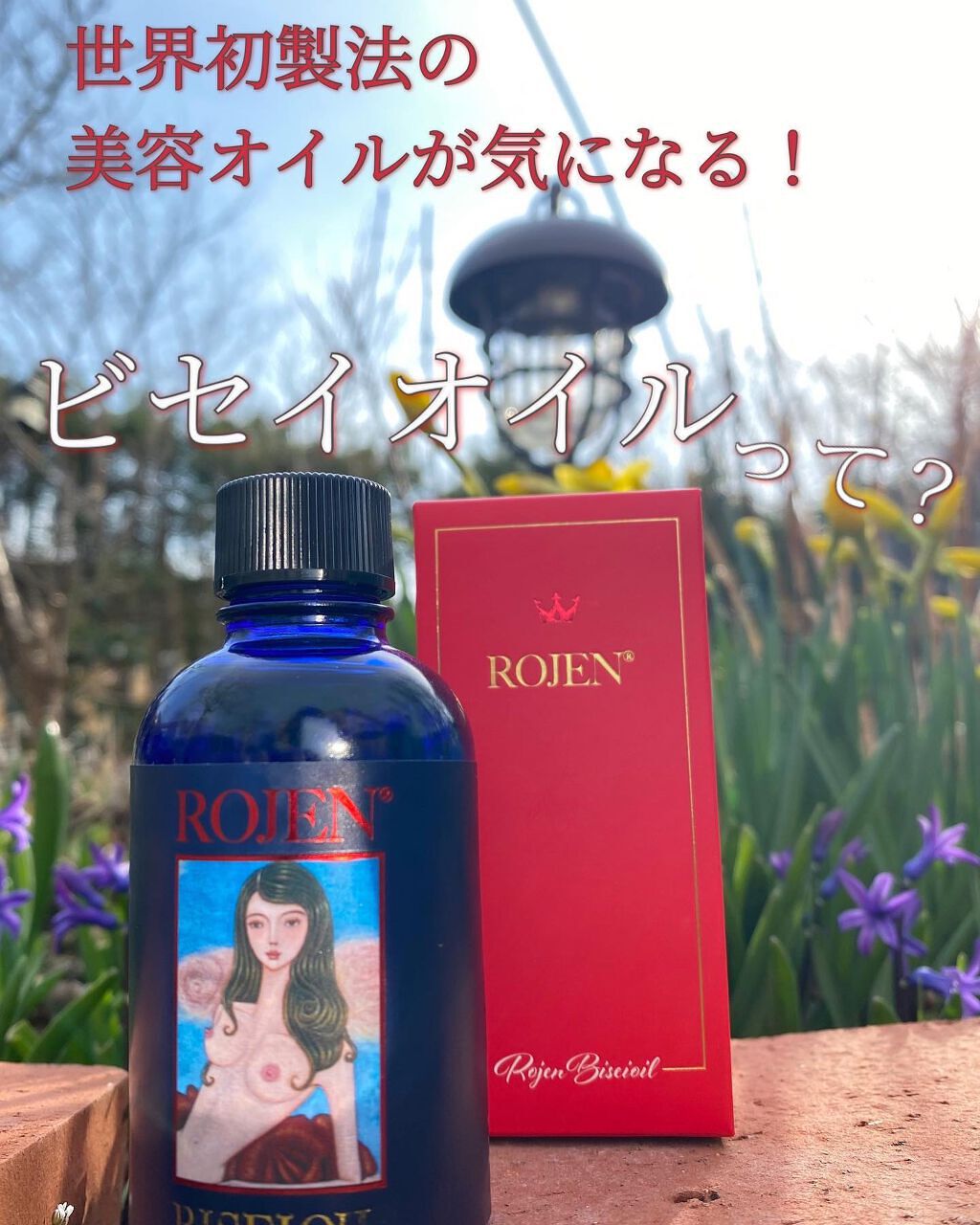 「オイル美容してますか？」正直レビュー✰ Biseilabの美整オイル編。

冬の時期は乾燥が気になるので、いつものスキンケア＋オイル使いがお気に入りだった私。
(目周り／ボディは年中オイルで保湿してるけど！)
あれこれオイルは試してきまし