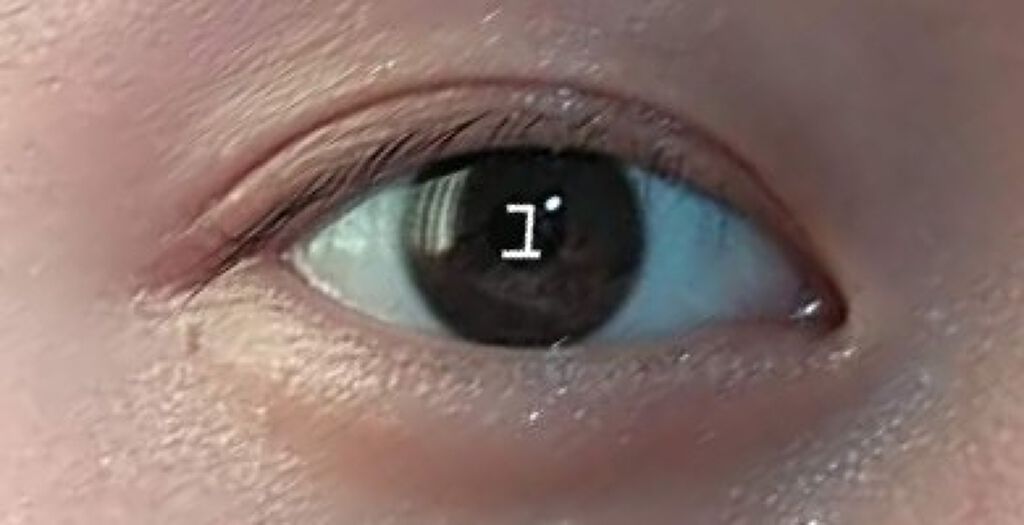 シングルカラーアイシャドウ/CEZANNE/単色アイシャドウを使ったクチコミ(4枚目)