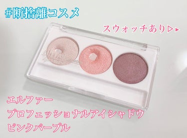 エルファー プロフェッショナル アイシャドウ/DAISO/アイシャドウパレットを使ったクチコミ（1枚目）