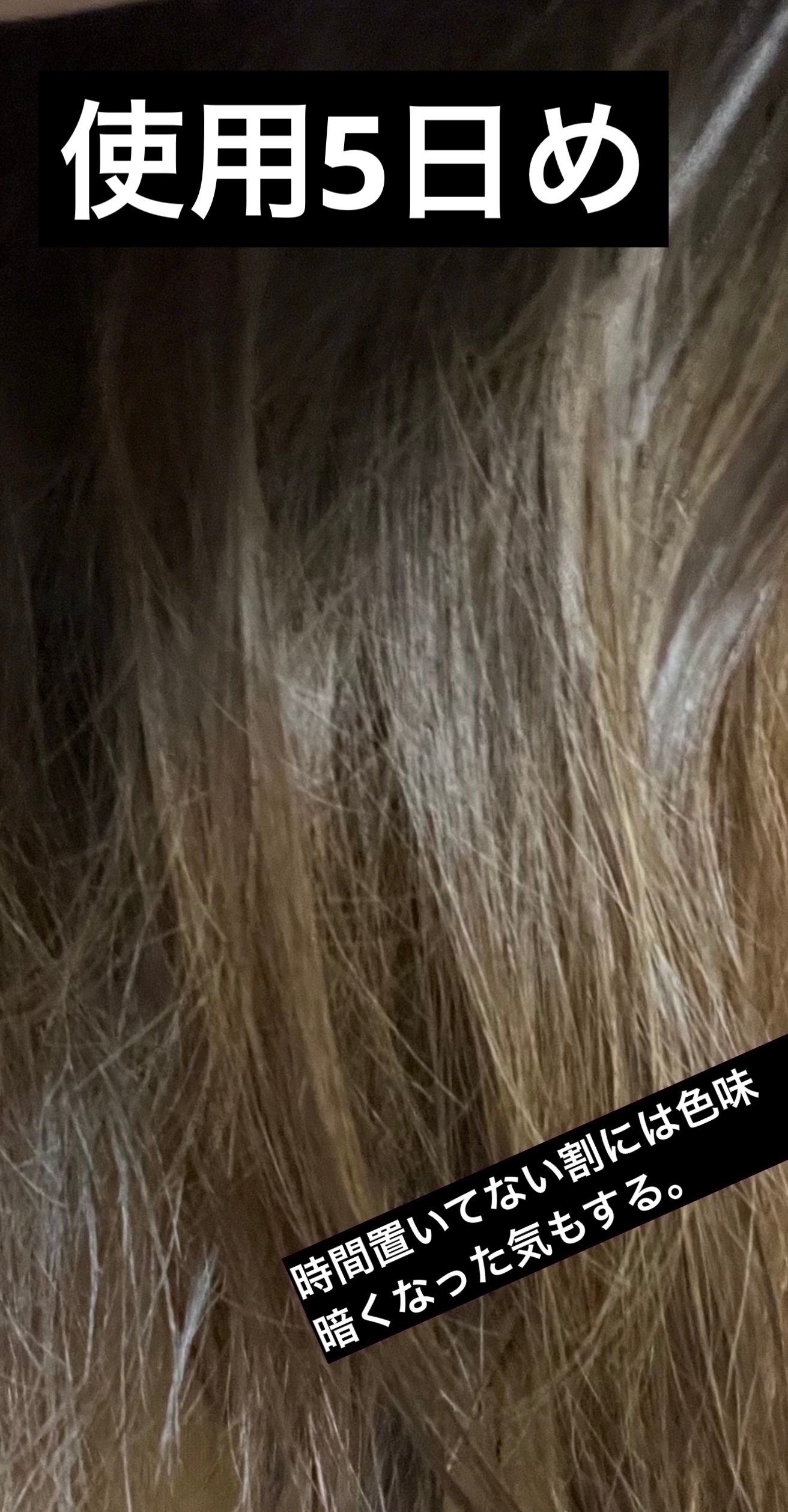 カラーシャンプー/ROYD/市販シャンプーを使ったクチコミ(5枚目)