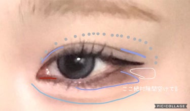 STEP BASIC EYESHADOW/Ameli/パウダーアイシャドウを使ったクチコミ（3枚目）