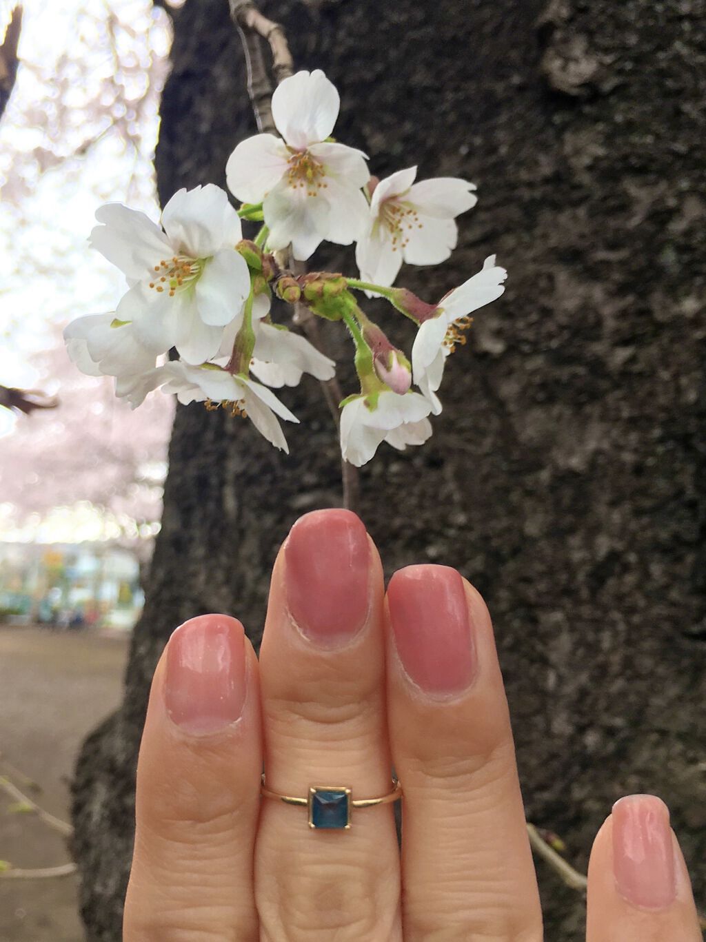 #桜ネイルのネイルデザイン