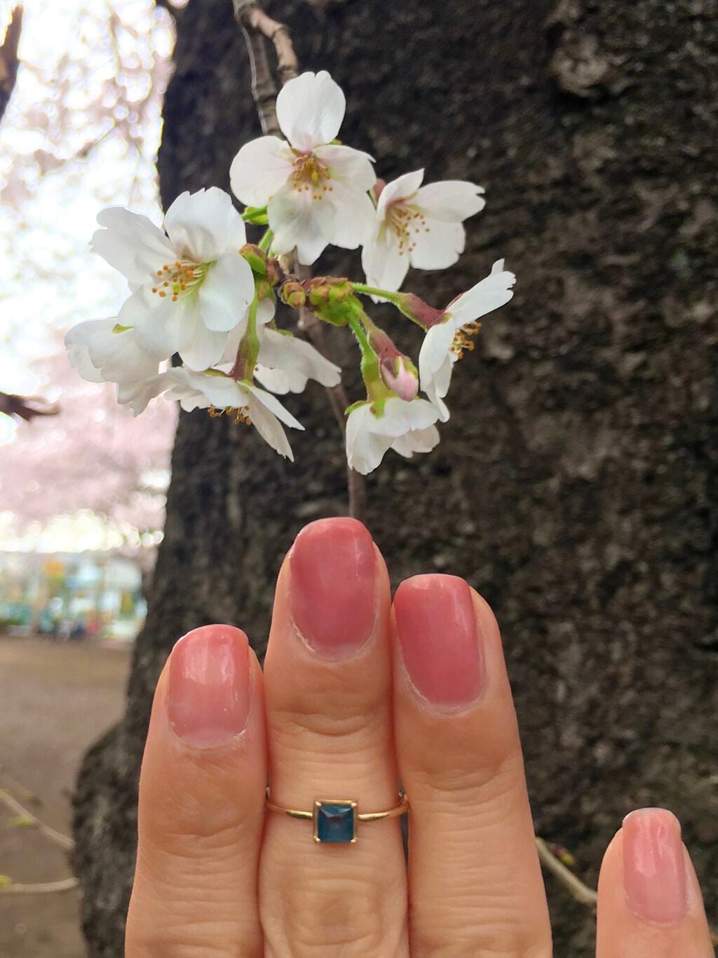 ウィークリージェル/HOMEI/ジェルネイルを使ったクチコミ(1枚目)