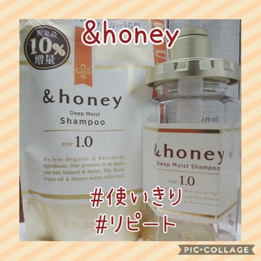 ディープモイスト シャンプー1.0／ヘアトリートメント2.0/&honey/シャンプー・コンディショナーを使ったクチコミ（1枚目）