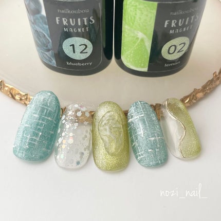 nozi𓆉𓂃 𓈒𓏸◌ on LIPS 「ネイル工房さんから新商品
【フルーツマグネットジェル】
が発売..」(2枚目)