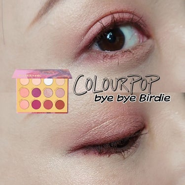 BYE BYE BIRDIE/ColourPop/パウダーアイシャドウを使ったクチコミ（1枚目）