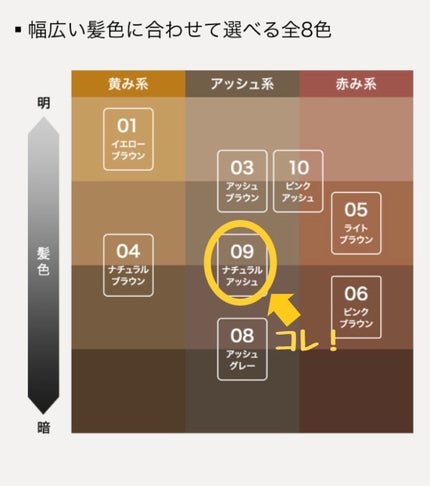 カラーリングアイブロウ 09 ナチュラルアッシュ/ヘビーローテーション/眉マスカラを使ったクチコミ(2枚目)