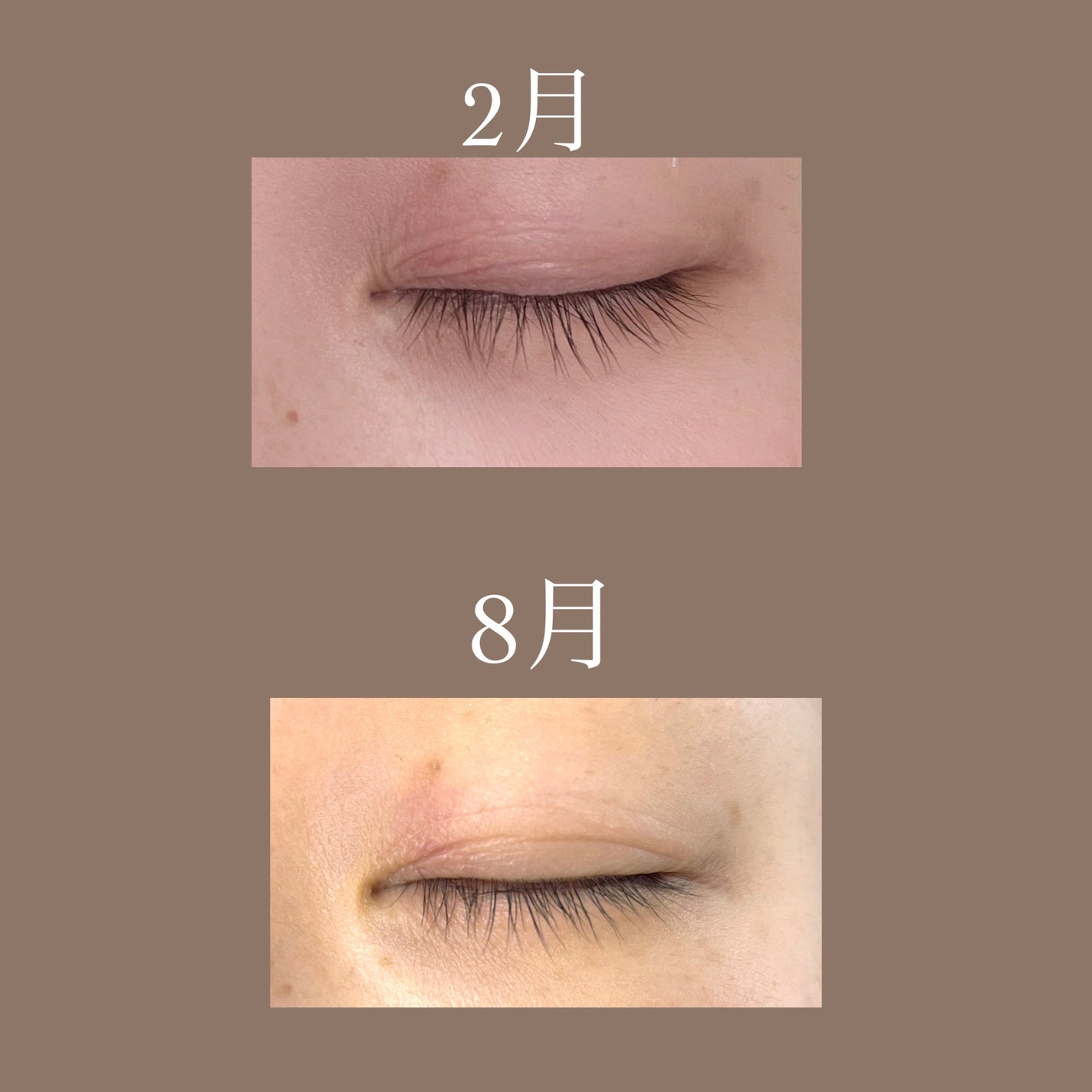 ドラマティックアイラッシュエッセンス/マキアージュ/まつげ美容液を使ったクチコミ(2枚目)