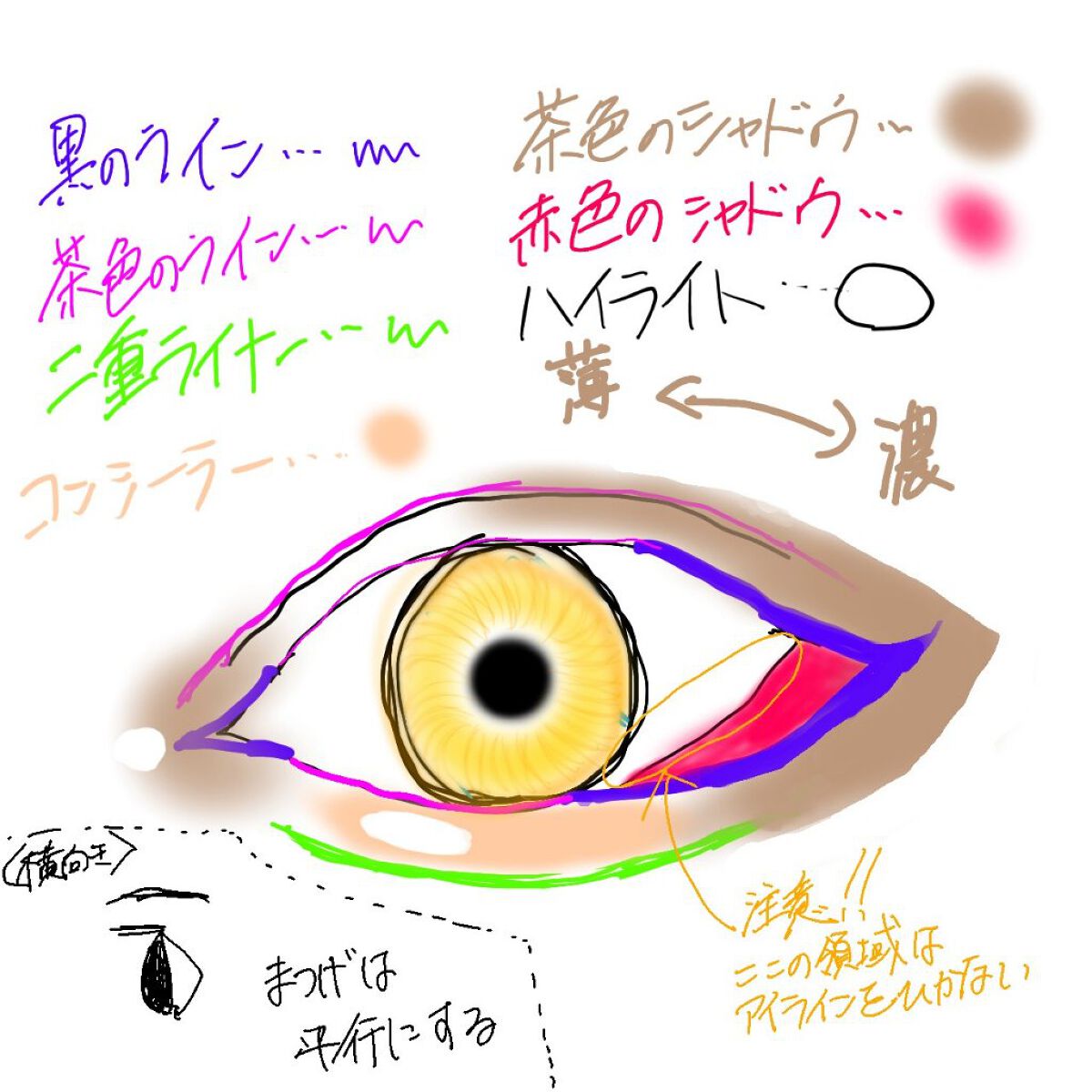 ドルチェコスメティック22色メイクパレット/DOLCEcosmetic/アイシャドウパレットを使ったクチコミ（3枚目）