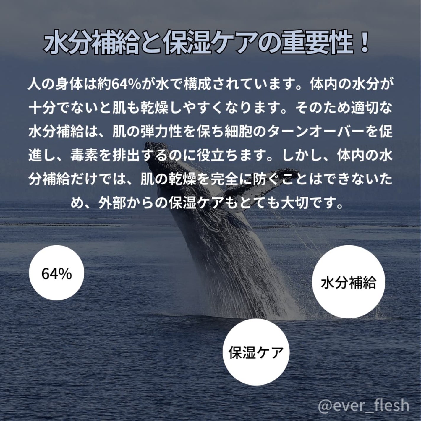 ナオホリック on LIPS 「韓国のクジラが日本に上陸?!😳保湿力と水分補給にこだわった見て..」(3枚目)