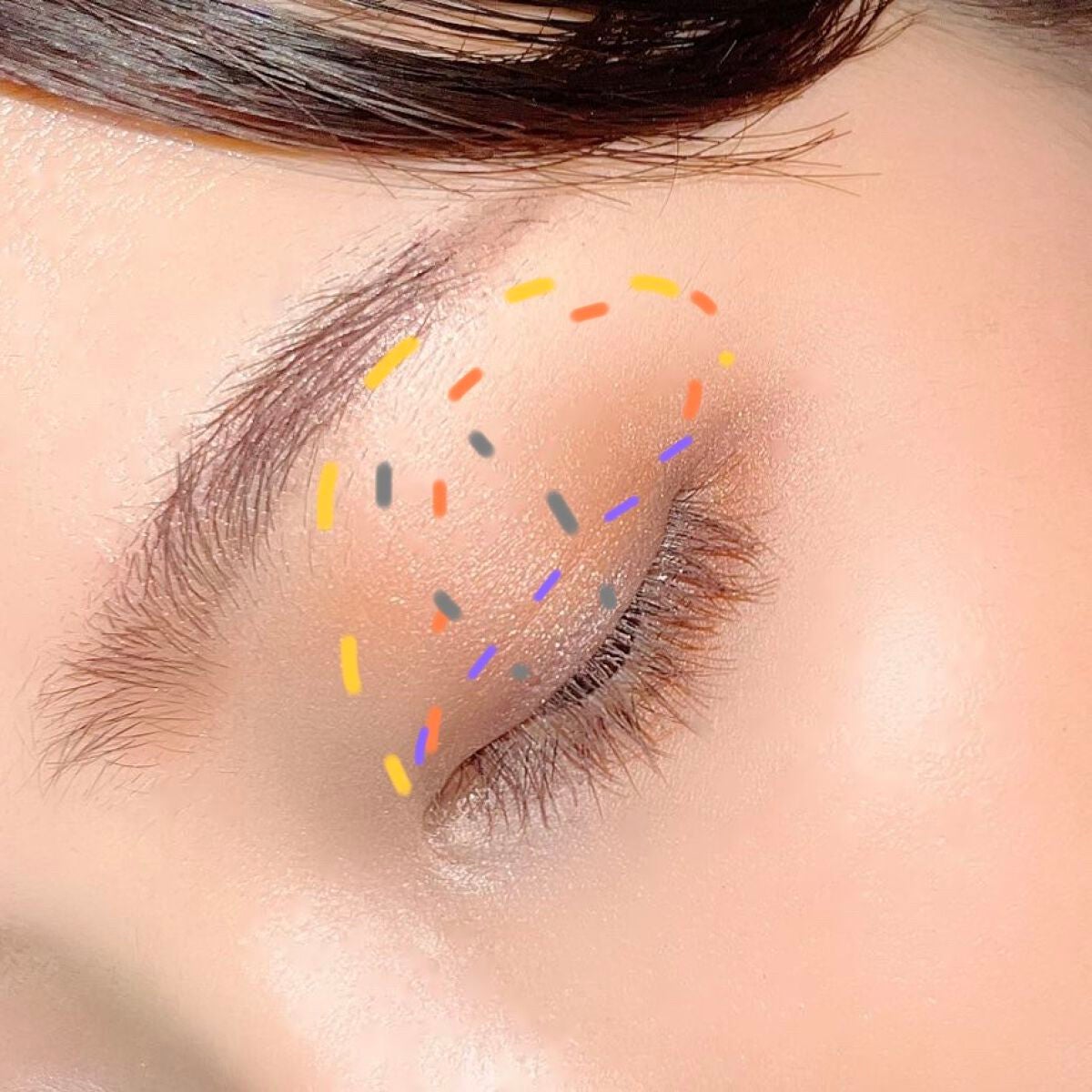 アイカラーレーション/LUNASOL/アイシャドウパレットを使ったクチコミ(5枚目)