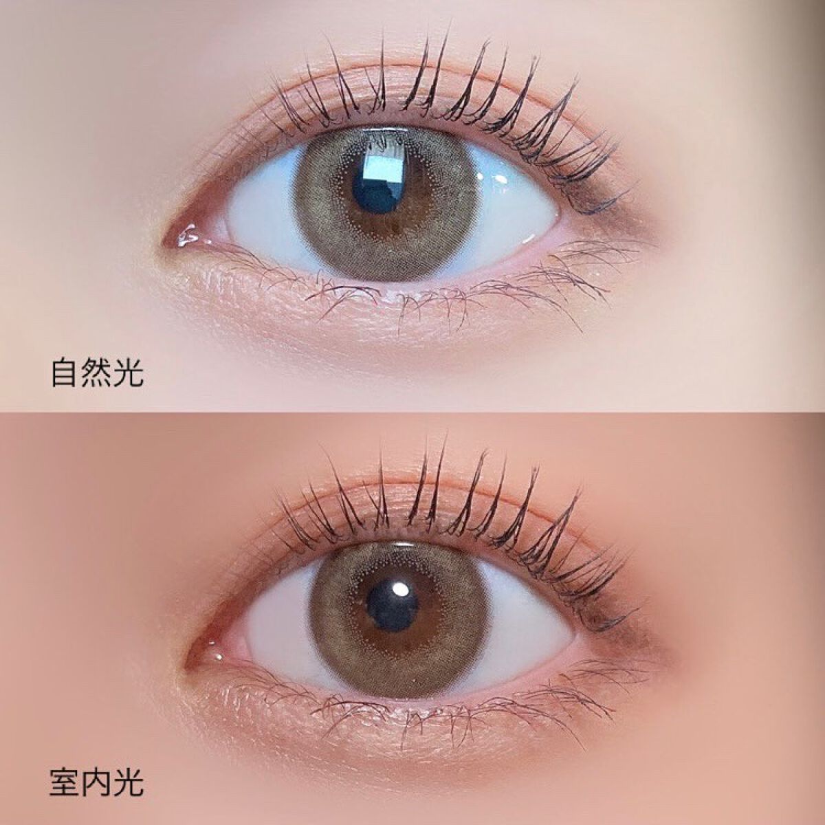 FLANMY 1day キャラメルパイ/FLANMY/ワンデー（１DAY）カラコンを使ったクチコミ（2枚目）