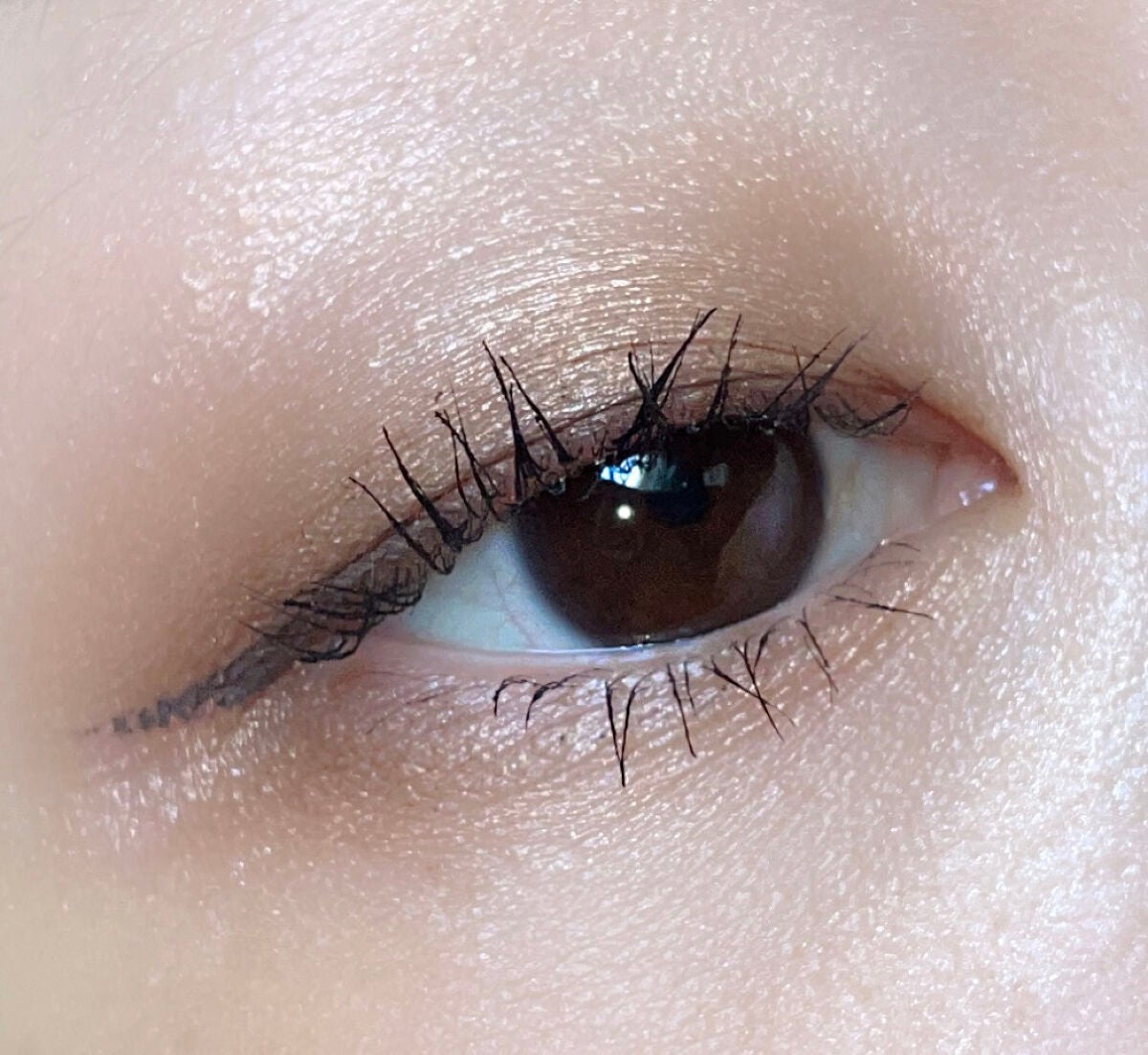 足しパレ/Fujiko/アイシャドウパレットを使ったクチコミ(2枚目)