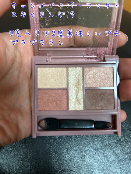 パーフェクトスタイリストアイズ/キャンメイク/アイシャドウパレットを使ったクチコミ(3枚目)