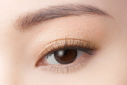 リシェ ダズリング デュオ アイズ/Visée/アイシャドウパレットを使ったクチコミ(2枚目)