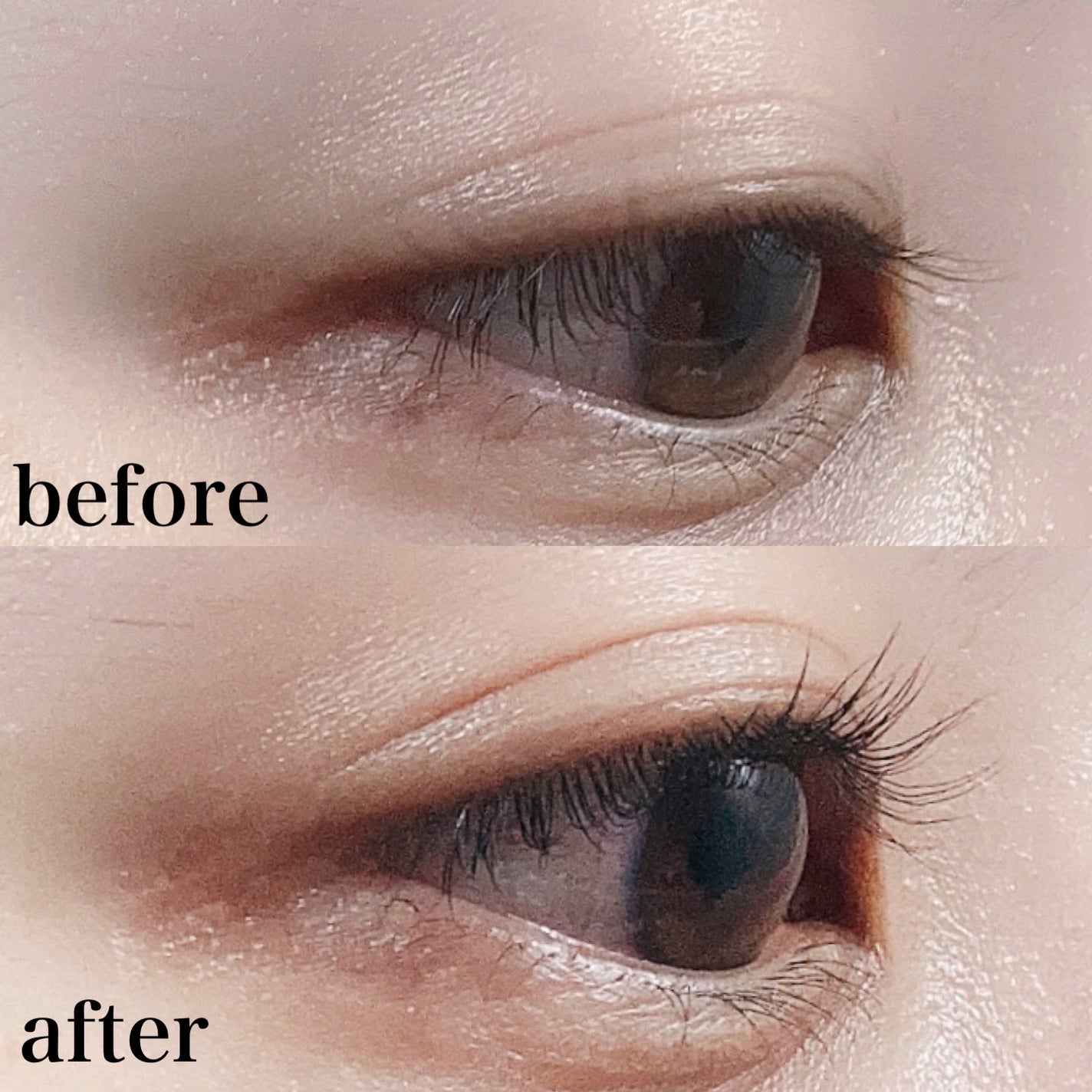 ホットビューラー カーラー型/ANLAN/ホットビューラーを使ったクチコミ(6枚目)