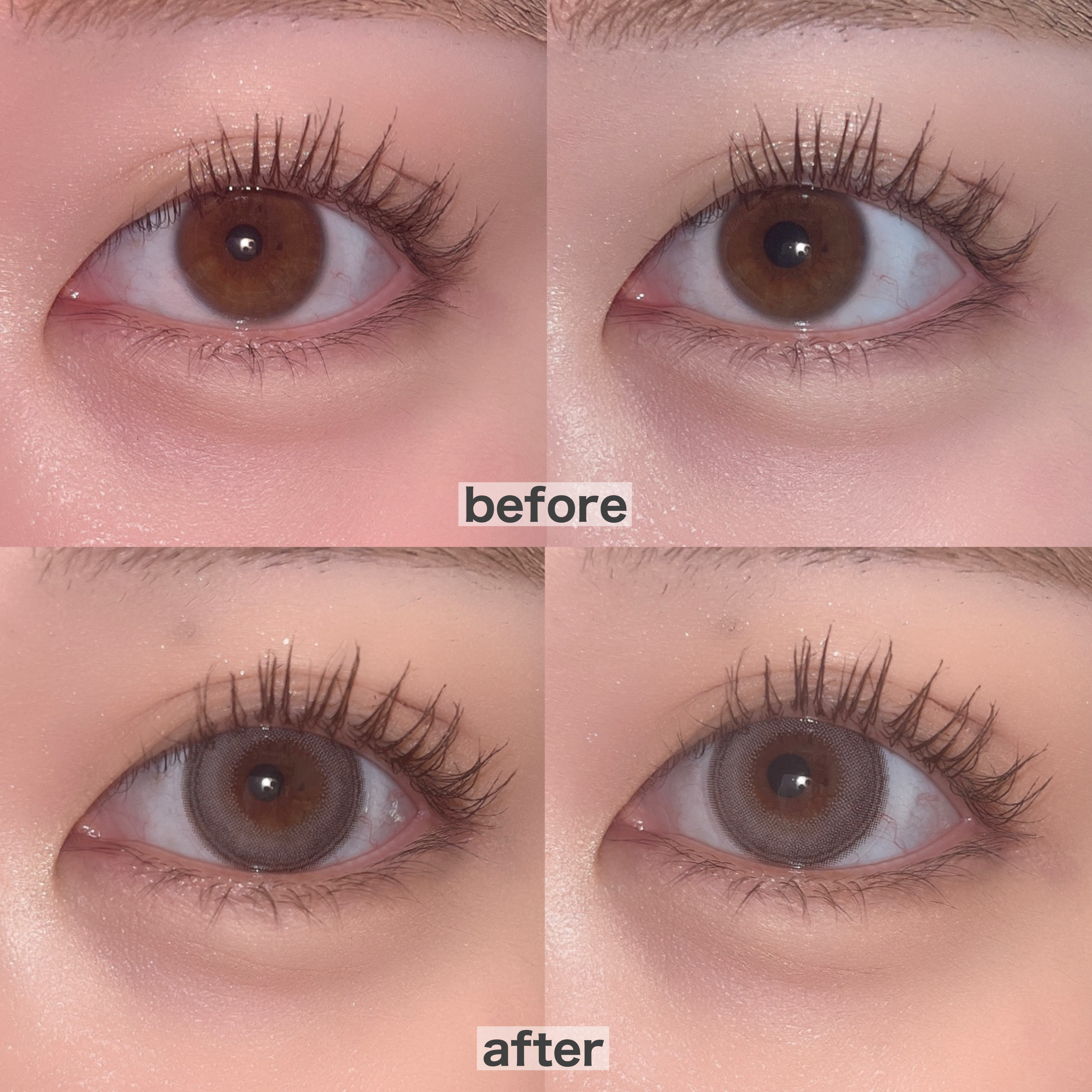 Angelcolor Bambi Series 1day  スワングレー/AngelColor/ワンデー（１DAY）カラコンを使ったクチコミ（2枚目）