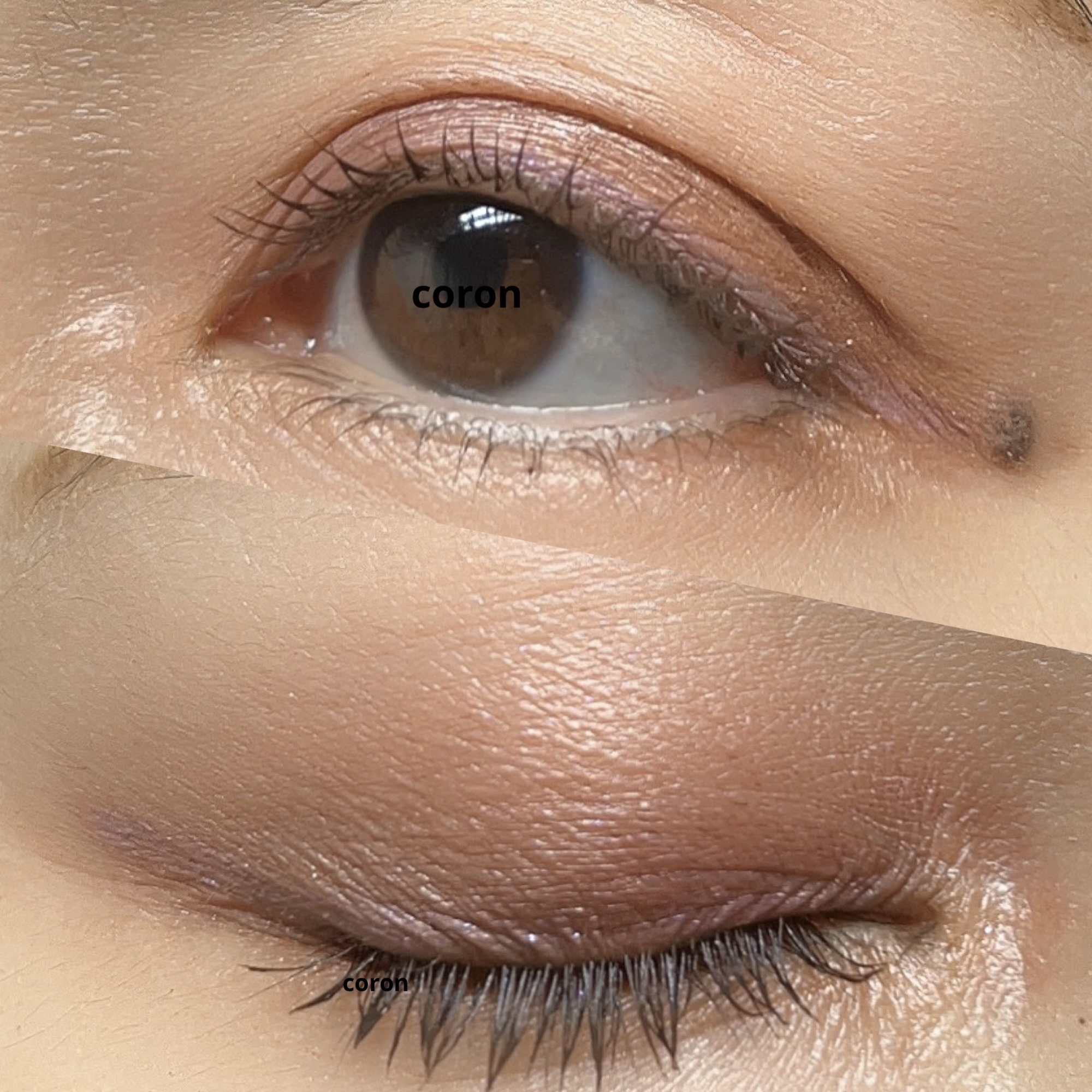 ジルスチュアート ムースブロウマスカラ/JILL STUART/眉マスカラを使ったクチコミ（2枚目）