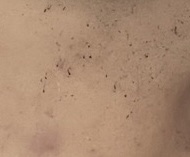 G マルチアイパウダー C/GENE TOKYO/パウダーアイブロウを使ったクチコミ（2枚目）