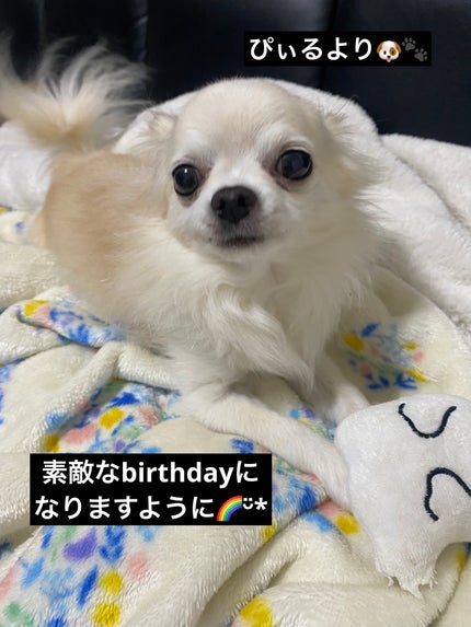 カラフルネイルズ/キャンメイク/マニキュアを使ったクチコミ(8枚目)