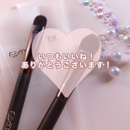 スキニーリッチシャドウ/excel/アイシャドウパレットを使ったクチコミ(9枚目)