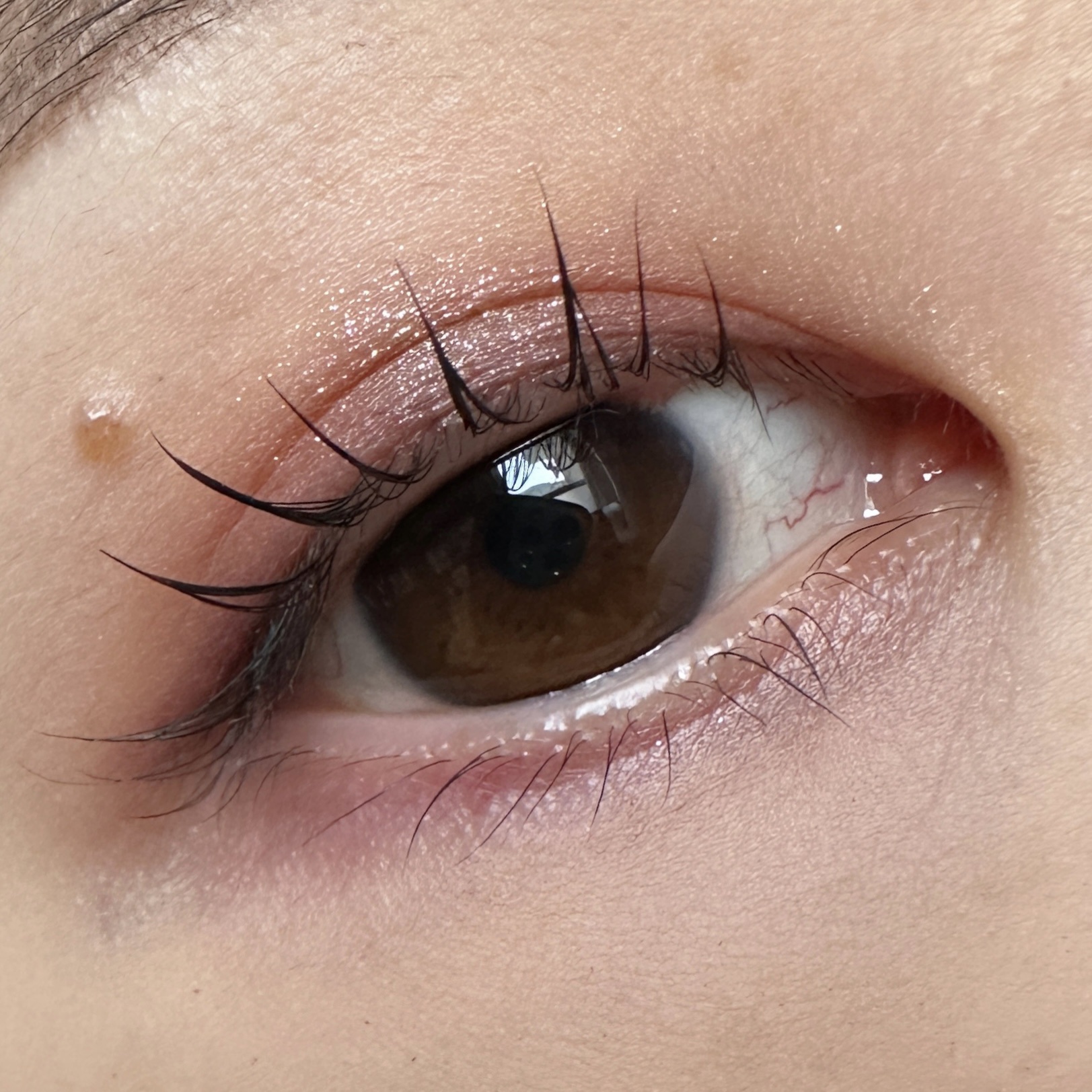 ダイメンションズ マルチエフェクト アイシャドウ 03 パルス/PRADA BEAUTY/アイシャドウパレットを使ったクチコミ（2枚目）