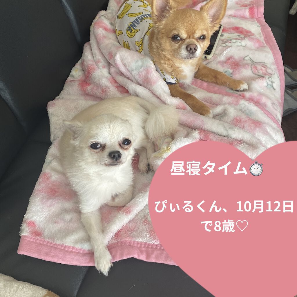 美容液マスクプライマー(クリアブルー)/Borica/化粧下地を使ったクチコミ（3枚目）