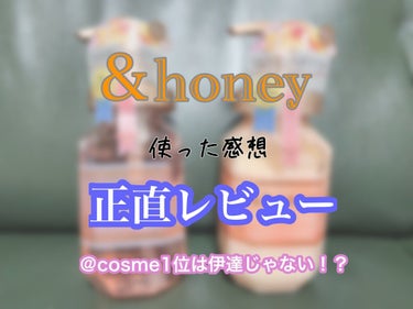 &honey Melty モイストリペア シャンプー1.0／モイストリペア ヘアトリートメント2.0/&honey/シャンプー・コンディショナーを使ったクチコミ（1枚目）