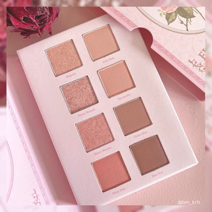 シャドウパレット/dasique/アイシャドウパレットを使ったクチコミ(5枚目)