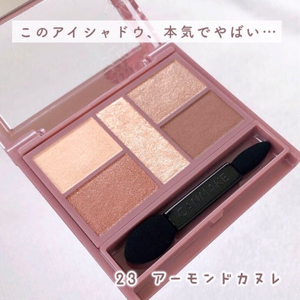 パーフェクトスタイリストアイズ/キャンメイク/アイシャドウパレットを使ったクチコミ(2枚目)