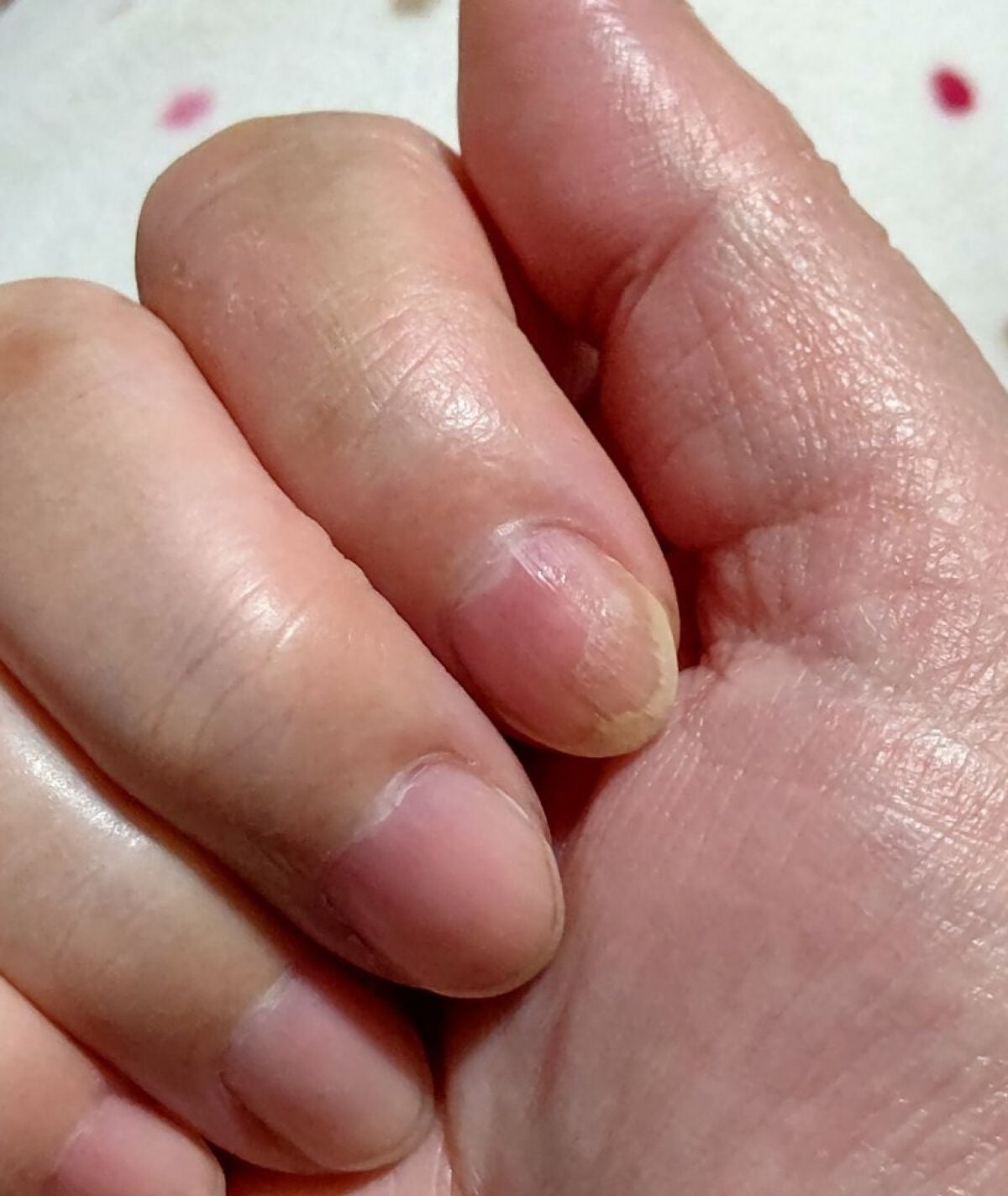 pa ネイルオイル/pa nail collective/ネイルオイル・トリートメントを使ったクチコミ(1枚目)