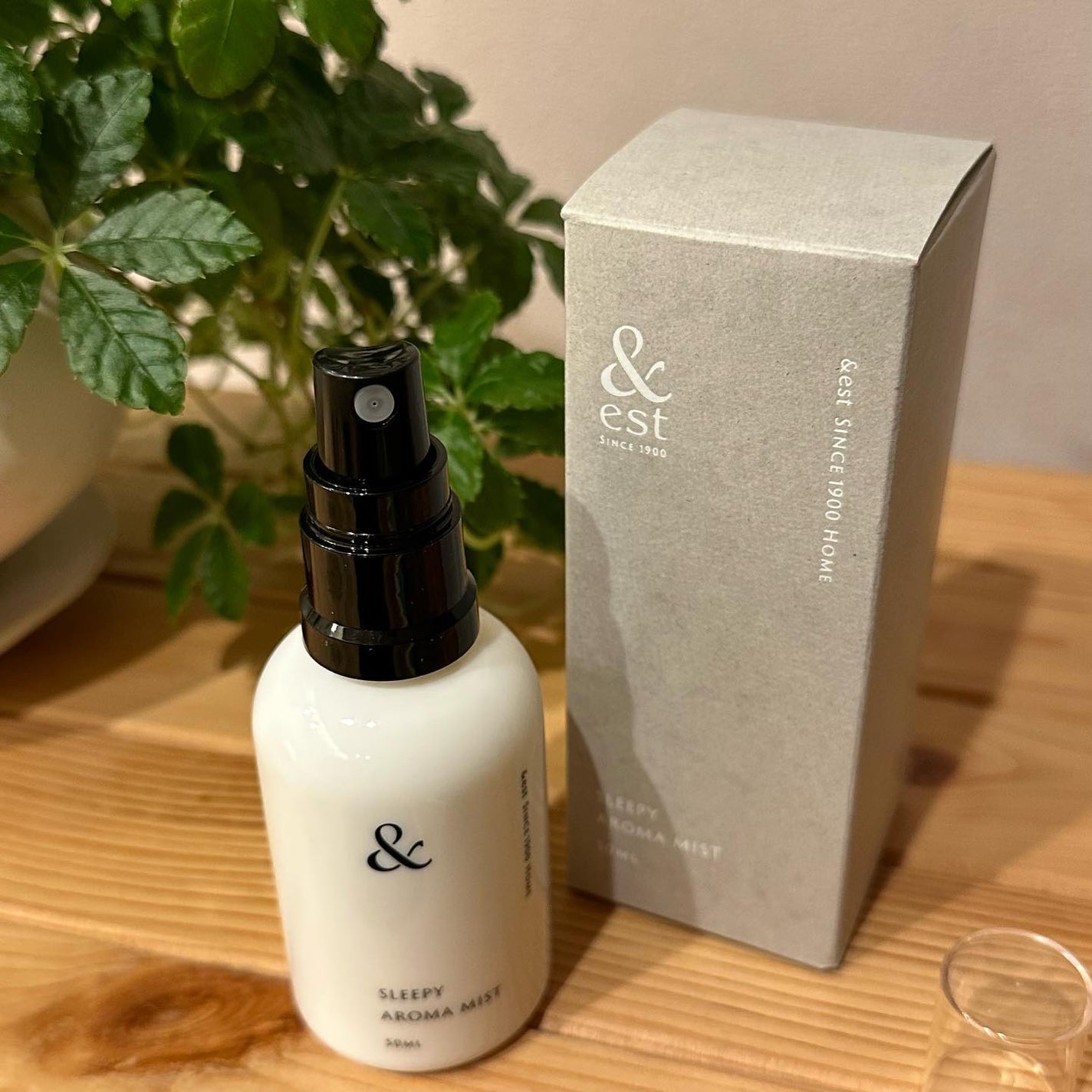 スリーピーアロマミスト/&est/その他を使ったクチコミ(3枚目)
