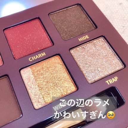 エクスプローラ12色 動物アイシャドウパレット/PERFECT DIARY/アイシャドウパレットを使ったクチコミ(5枚目)