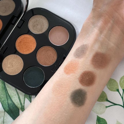 コネクト イン カラー アイシャドウ パレット × 6/M・A・C/アイシャドウパレットを使ったクチコミ(4枚目)