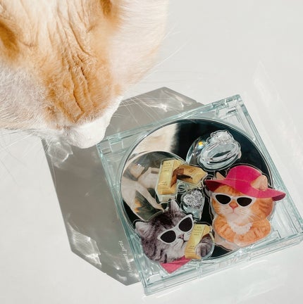 クリオ キル カバー スキン フィクサー クッション/CLIO/クッションファンデーションを使ったクチコミ(1枚目)